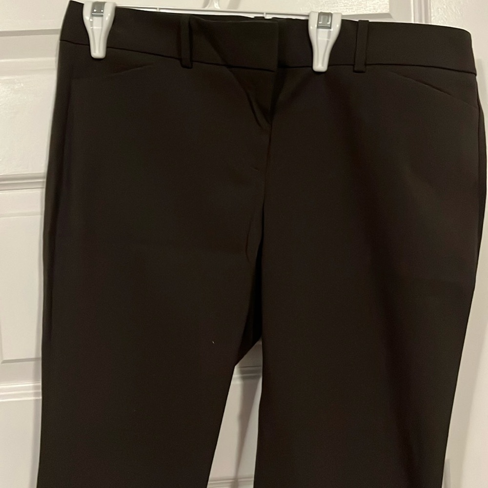 The Limited low rise pants in dark brown Size 12S new with tags